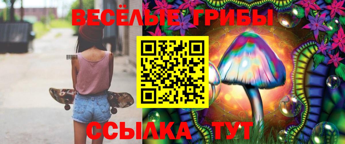 Галлюциногенные грибы Cubensis Среднеуральск